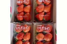 恋するおとめちゃんセット
完熟恋みのりととちおとめの食べ比べ
【いちご食べ比べ】