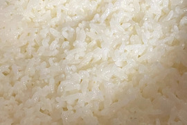 新生活応援キャンペーン【令和4年度産】　特別栽培米　ゆめぴりか　10kg （精米）