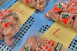 おいしっ （ُ م ُ）　市田柿袋詰A品500g