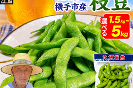 寒暖差のある産地で育てられた、新鮮枝豆！「秋田のいきいき枝豆」計1.5kg（250ｇ×6ｐ）(令和8年産)