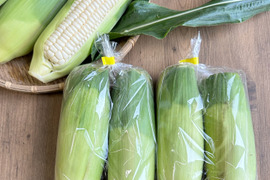 【夏ギフト】訳あり白いとうもろこし【B品21本〜25本】