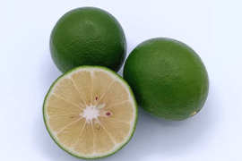 【お試しに】緑色のレモン『グリーン マイヤーレモン』【1.8kg】