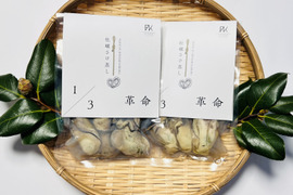 1/3革命｜南三陸産 牡蠣のさけ蒸し240g　ぷりぷり濃厚・簡単ごちそう