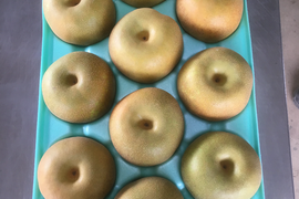 定番の美味しさ！みんな大好き幸水梨(5kg)大玉サイズ