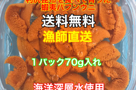 （実質送料無料）蝦夷バフンウニ（北海道利尻島産）１パック 70g