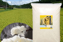 つきあかり精米20㎏(5㎏×4) 令和5年 神石高原町産 肌のうるおいを保つ「グルコシルセラミド」を豊富に含む美容米！