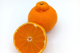 デコがポイント！不知火【小玉サイズ 贈答用 2.1～2.2kg】