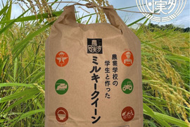 農業学校の学生と作ったお米　日本農業実践学園の【ミルキークイーン】白米5kg【無洗米・分搗き対応可】もっちり甘い【令和５年産】