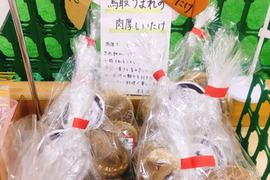 原木しいたけ115(600g)