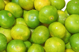 小玉！有田みかん 2.5kg【わけあり】