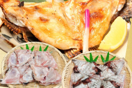 切り身セット 食べくらべ【沼津産 塩鯛カマ 800g】