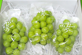 訳あり シャインマスカット(バラ2kg)：山梨県産のシャイン