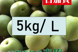 ＊予約販売【青梅】京都青谷産「白加賀」(5kg, L)