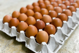 味と鮮度のこだわり卵！宮たま(赤)×40個