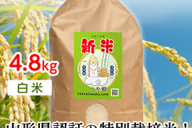 【令和6年新米】つや姫　32合4.8キロ白米　甘味のある新食感！！