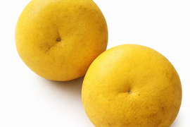 自然栽培 文旦1kg 高知県産