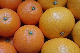 香り豊かな柑橘食べ比べセット☆八朔とネーブルオレンジ( 4kgずつ8kg)