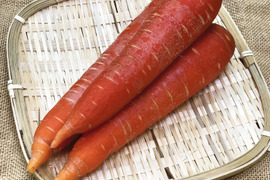 糖度11度超えのオーガニック紅にんじん(5㎏)【有機JAS認証】