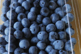 《生食用》完熟 生ブルーベリー 1kg
甘くてパクパク食べちゃう(^-^)