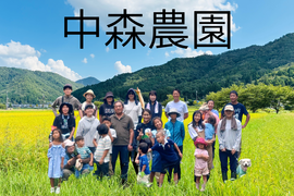 丹波篠山市　黒枝豆　枝付き1kg