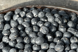〈訳あり〉黒豆煮の練習用やおやつ用に！2025年 丹波篠山黒大豆 B級1000g/レシピ付き