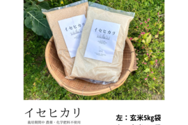 神様のお米イセヒカリ！『アイガモ農法米』農薬、化学肥料不使用！玄米５kg淡路島産