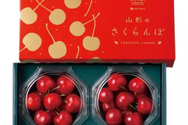 【 さくらんぼの王様 : 紅  王 】山形県産 新品種　2L〜3Ｌ玉　300g　販売開始！！🍒【 500円玉サイズ 】【 お中元・父の日ギフト 】
