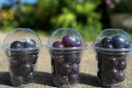 【黒ぶどう好きに！】粒カップのお気軽食べ比べ！食べ比べ黒ぶどうセット【朝どれ】