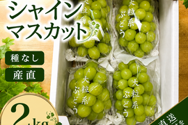 シャインマスカットの通販｜ぶどう｜3ページ目｜食べチョク｜産地直送