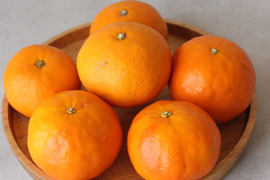 濃厚なカラマンダリンとジューシーなセミノール （約5kg ）【柑橘食べ比べ】
