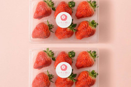 【2箱セット】もっと想いが伝わるいちご-越後姫4Lサイズ6個入り