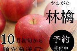 【 🍎新春大特価予約🍎 】【 50箱限定 】【 3000件突破 】【 先行予約･希少品種・清明 】【 水分たっぷりジューシー果汁 】山形県産 りんご 3ｋ【 家庭用・贈答用 】お米とご一緒に！
