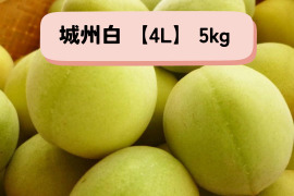 ＊予約販売【青梅】京都青谷産「城州白」(5kg, 4L)　香りの良さが光る青梅