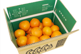 産地直送・わけありいよかん(10㎏ )　ご自宅用　愛媛県産