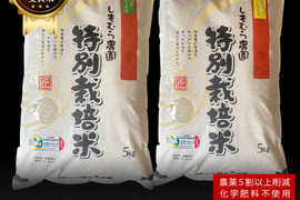 【今だけ¥1,000引き‼】【化学肥料不使用・農薬5割以上減】特別栽培米「ヒノヒカリ・さがびより」食べ比べセット各5㎏【夏ギフト】R3年産