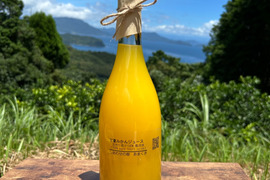 【日本の柑橘】生搾り果汁100%ストレートジュース（熊本特産 甘夏）無添加 栽培期間中農薬、化学肥料不使用