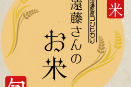 令和7年産新米栃木県産美味しいコシヒカリ遠藤さんのお米5k