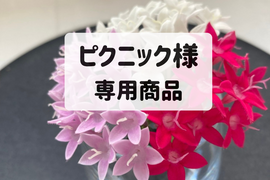 ピクニック様　専用商品