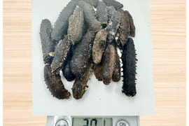 乾燥ナマコ  200g  訳あり品