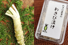 世界農業遺産認定!本わさび わさび漬けセット