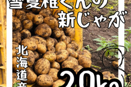 《ホクホクMAX！！！》愛され食され40年『雪夏稚くん』のコナヒメver. 20kg
