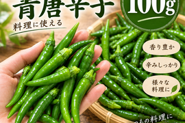 朝採れの青唐辛子をおとどけ【100g】