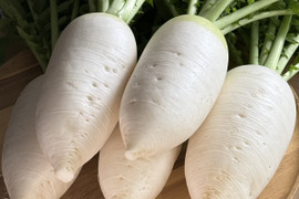 ”ノウフク“　四季姫2号　１キログラム（2本～3本）
【栽培期間中　農薬化学肥料不使用】