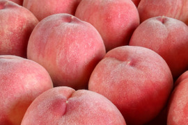 夏雄美(なつゆうび)3kg🍑【朝どれ】直送🍑朝採り🍑贈答用🍑夏ギフト🍑自宅用🍑硬い桃🍑かためで甘い&ジューシー🍑7月上旬頃～収穫予定🍑早生品種🍑あかつきより早く食べたい方へ🍑