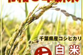 【令和8年新米】ヒラヤマファームの白米（10kg）