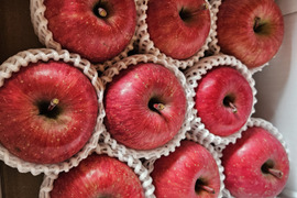 青森県産サンふじりんご約3㎏（キャップ8～10個）