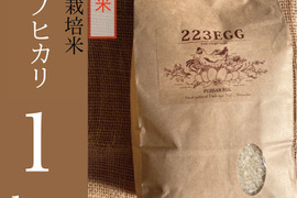 ＜玄米＞特別栽培米「ヒノヒカリ」[ 1㎏ ]【令和5年米】