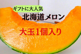 ギフトに大人気 【北海道メロン】 1玉入り　大玉