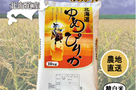 北海道産　令和６年産　ゆめぴりか　精白米１０ｋｇ1袋
