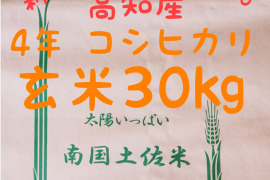 令和4年産 高知県産 新米コシヒカリ 玄米30㎏(袋込み)